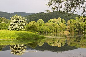 18. Platz: RalfHeu Neu! mit Impressionen aus dem Naturschutzgebiet „Freudenthal bei Witzenhausen“