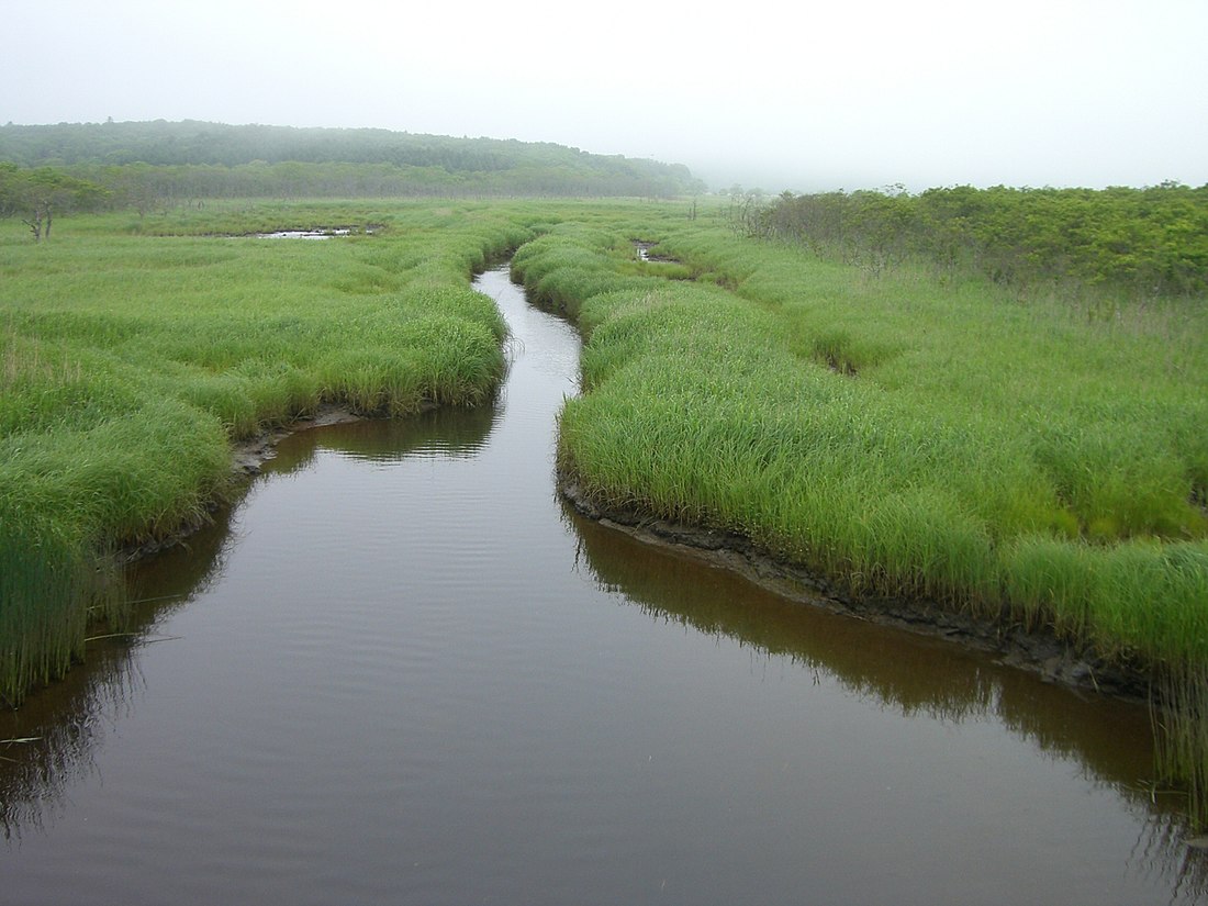 Kiritappu Wetland