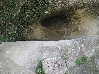 <span class="mw-page-title-main">Krapina Neanderthal site</span> Archaeological site in Croatia