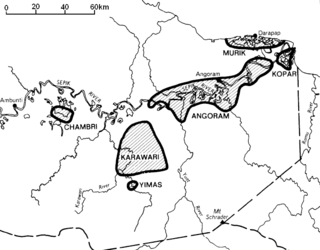 Lower Sepik languages Language family of Papua New Guinea