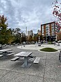 Yesler Terrace Park