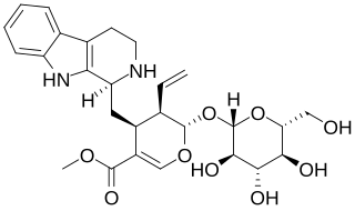 <span class="mw-page-title-main">Strictosidine</span> Chemical compound