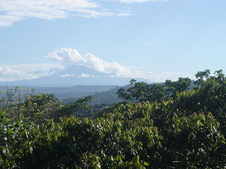 <span class="mw-page-title-main">Eastern Cordillera Real montane forests</span>