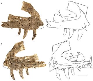 <i>Vivaron</i> Extinct genus of reptiles