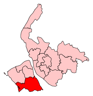 <span class="mw-page-title-main">Wirral South (UK Parliament constituency)</span> Parliamentary constituency in the United Kingdom, 1983-2024