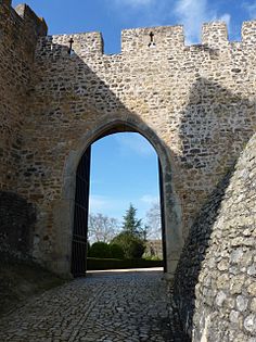 Porta de les muralles