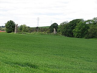 <span class="mw-page-title-main">Hallyards Castle</span> Scottish ruins