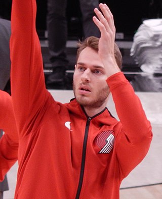 <span class="mw-page-title-main">Jake Layman</span> American basketball player (born 1994)