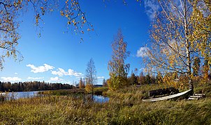 Näkymää Palokkajärvelle Heinälammelta.