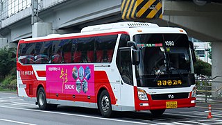 <span class="mw-page-title-main">Intercity bus service</span> Public transport service using coaches to carry passengers significant distances between locations