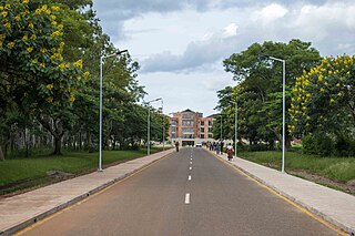 <span class="mw-page-title-main">Lilongwe University of Agriculture and Natural Resources</span> University in Malawi