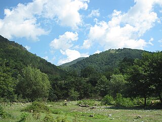 <span class="mw-page-title-main">Likhi Range</span> Mountain range in Georgia