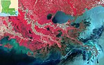 Immagine satellitare a larga scala del delta del Mississippi. Il vecchio apparato deltizio inattivo (verso terra) è un tipico esempio di delta lobato.