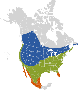 blue: reproduktejoj; verde: tutan jaron; okre: vintre