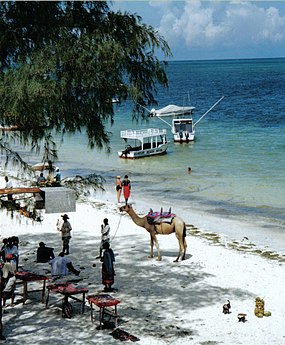 Les activités de Bamburi Beach : promenade en dromadaire, bateau pour la plongée sous-marine et bateau pour la pêche au gros