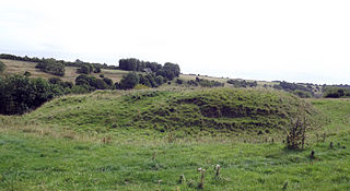 Ringwork A form of fortified defensive structure