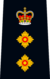 OPP Chief Superintendent.png