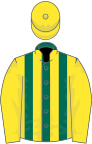 Dark green and yellow stripes, yellow sleeves and cap