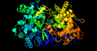 <span class="mw-page-title-main">Oxidosqualene cyclase</span>