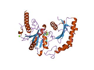 <span class="mw-page-title-main">Signal recognition particle receptor</span>