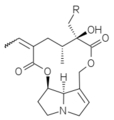 R=H : sénécionine R=OH : rétrorsine