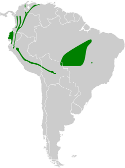 Distribución geográfica de la tangara cabeciazul.