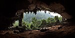 An external forest view from a cave