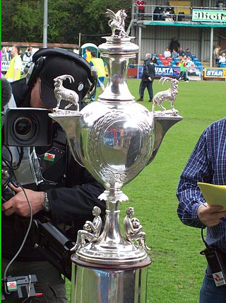 <span class="mw-page-title-main">2022–23 Welsh Cup</span> Football tournament season