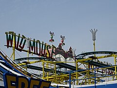 Wild Mouse