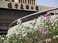 西安交通大学の銭学森図書館