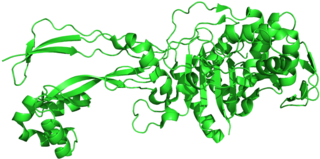 <span class="mw-page-title-main">Penicillin-binding proteins</span> Class of proteins