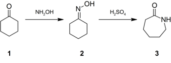 The Beckmann Rearrangement