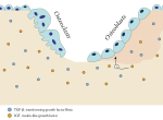 Thumbnail for Ossification