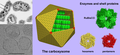 Carboxyzome