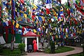 Bøneflagg i Darjeeling.