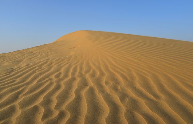 Désert du Thar