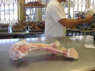 <span class="mw-page-title-main">Foreleg, cheeks and maw</span> Gift of a kosher-slaughtered animal to a kohen