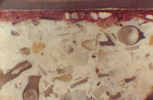 Microscopic image of a mural at Teotihuacan Mic teotihuacan.gif