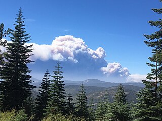 <span class="mw-page-title-main">North Complex Fire</span> A large complex wildfire in Northern California in 2020