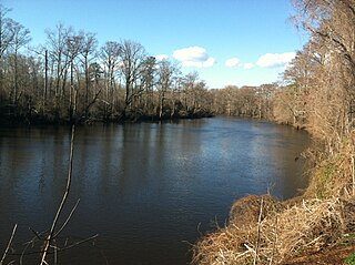 <span class="mw-page-title-main">Nottoway people</span> Native American tribe in Virginia, US