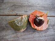 Grüne Sapote