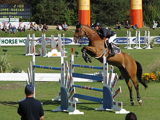 <span class="mw-page-title-main">Philippe Rozier</span> French equestrian