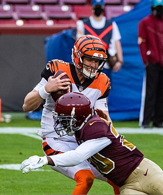 <span class="mw-page-title-main">Ryan Finley (American football)</span> American football player (born 1994)