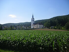 Brezovica (Slovénie)