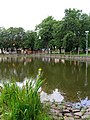 Čeština: Rybník na návsi ve Struhařově English: Common pond in Struhařov, Czech Republic