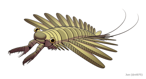 Amplectobelua symbrachiata の全身復元図。尾扇は推測的。