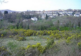 <span class="mw-page-title-main">Abersychan</span> Town in Wales