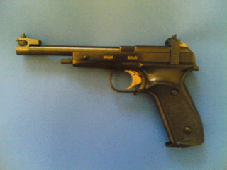 <span class="mw-page-title-main">Sport pistol</span>