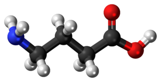 <span class="mw-page-title-main">GABA</span> Main inhibitory neurotransmitter in the mammalian brain