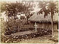 John Watt Beattie (1906) Grave of Reverend Charles Godden in Lolowai